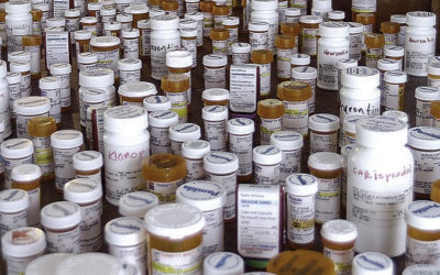 Pas d’augmentation des prescriptions d’ opioïdes aux E.U. après réglementation du cannabis récréatif