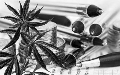 Une régulation stricte du marché du cannabis serait économiquement plus favorable que la prohibition