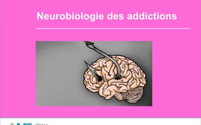 Neurobiologie des addictions