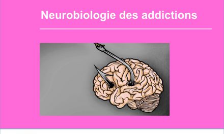 Neurobiologie des addictions