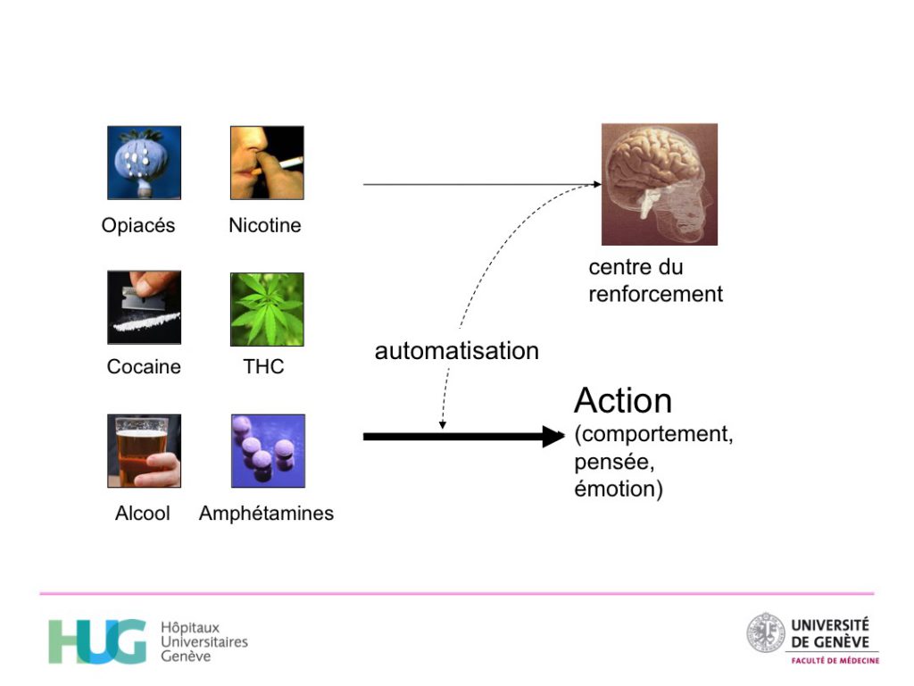 Neurobiologie Des Addictions - ADDICTOHUG