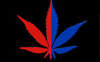 Motion tessinoise de réglementation du cannabis