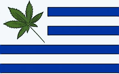Le modèle uruguayen de régulation du cannabis