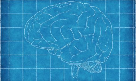 Pas d’effet du cannabis sur la structure cérébrale: encore une étude