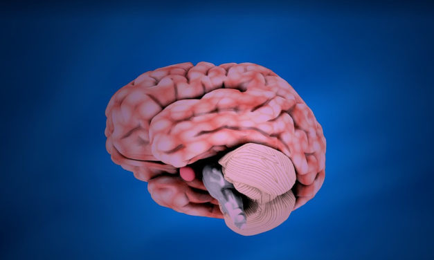 Le cannabidiol (CBD) normalise le fonctionnement cérébral des personnes à risque de psychose