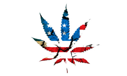 Politique libérale, consommation de cannabis … et problèmes liés au cannabis